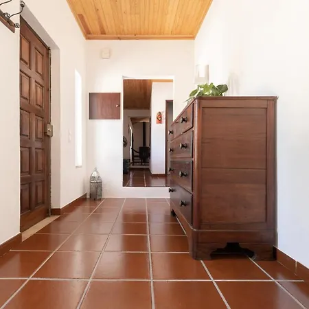 Country House - Quinta Das 3 Nogueiras Abitureiras Exterior foto